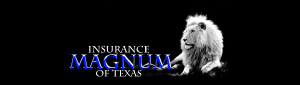 TWFG Insurance Services, Inc - Laudy Yazbek