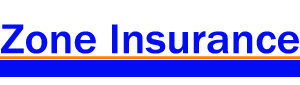 BERMUDX INSURANCE AGENCY LLC